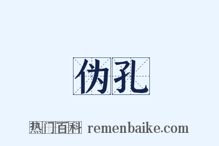 伪孔是什么意思的图片